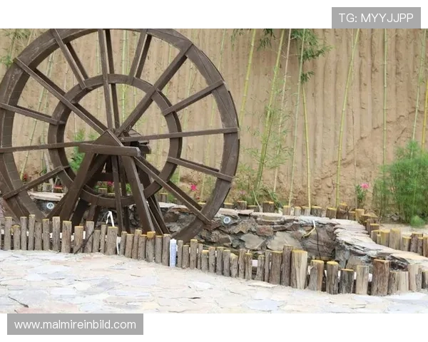 丽波真人测试与其他同类软件的对比分析，选择最适合你的游戏辅助工具